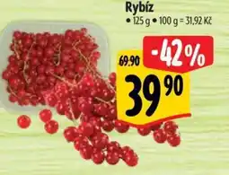 Rybíz