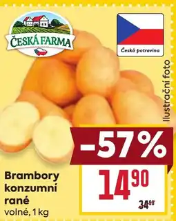 Billa Brambory konzumní rané nabídka