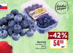 Billa Borůvky nabídka