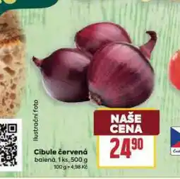 Cibule červená