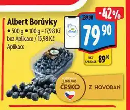 Albert Borůvky nabídka