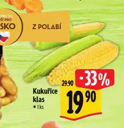 Albert Kukuřice klas nabídka