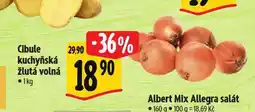 Albert Cibule kuchyňská žlutá nabídka