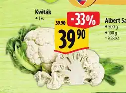 Albert Květák nabídka
