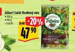 Albert Salát rodinný mix nabídka