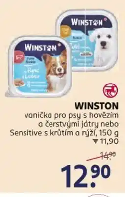 Rossmann WINSTON nabídka