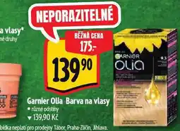 Albert Garnier barva na vlasy nabídka
