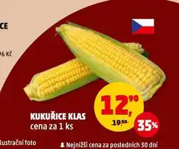Penny Market Kukuřice klas nabídka