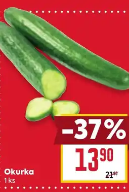 Billa Okurka nabídka