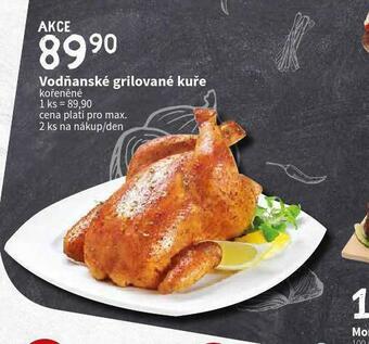 Terno Vodňanské grilované kuře nabídka
