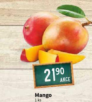Terno Mango nabídka