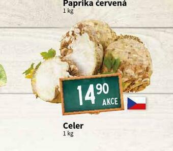 Terno Celer nabídka