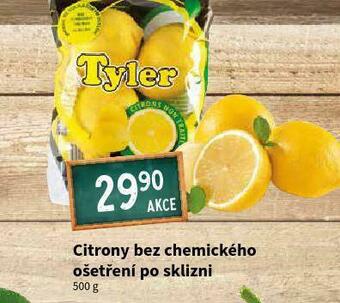 Terno Citrony nabídka