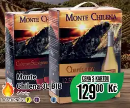 Tamda Foods Monte Chilena 3L BIB nabídka