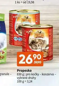 Terno Propesko konzreva pro kočky nabídka