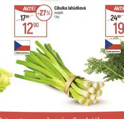 Cibulka lahůdková