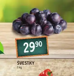 Terno Švestky nabídka