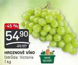 Flop HROZNOVÉ VÍNO nabídka