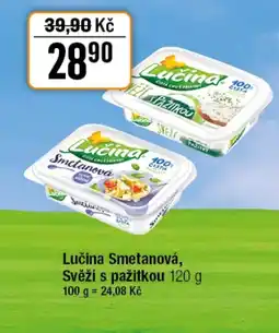 TEMPO Lučina Smetanová, Svěží s pažitkou nabídka
