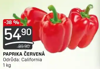Flop PAPRIKA ČERVENÁ nabídka