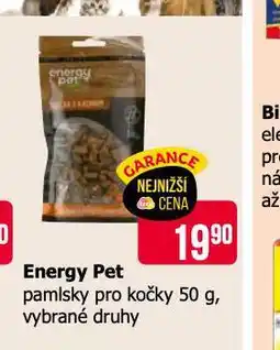Teta Energy pet pamlsky pro kočky nabídka