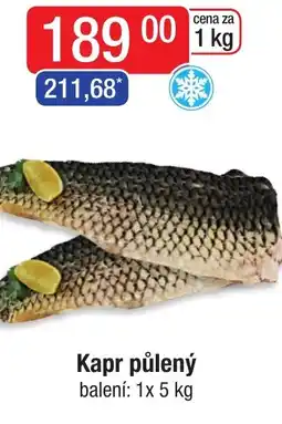 Qanto Kapr půlený nabídka