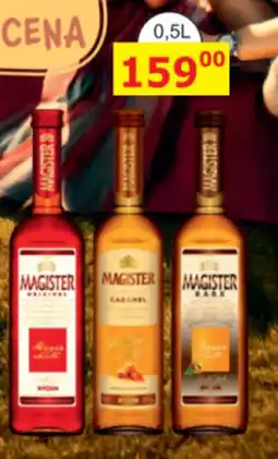 MAGISTER