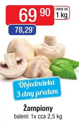 Qanto Žampiony nabídka