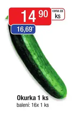 Qanto Okurka 1 ks nabídka