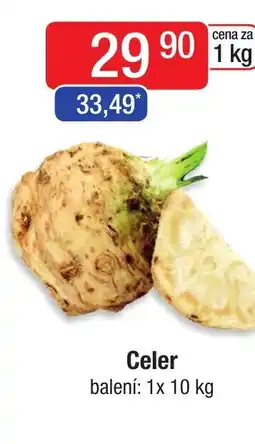 Qanto Celer nabídka