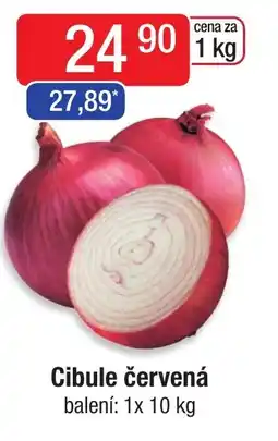 Qanto Cibule červená nabídka
