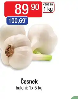 Qanto Česnek nabídka