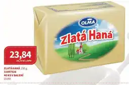 Kubík potraviny ZLATÁ HANÁ 250 g nabídka