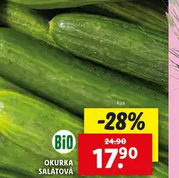 Lidl Okurka salátová nabídka
