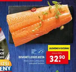 Lidl Divoký losos keta nabídka