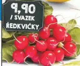 Jip REDKVIČKY nabídka