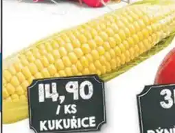 Jip KUKURICE nabídka