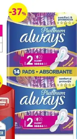 Hebe ALWAYS Platinum nabídka