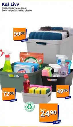 Action Koš Livv nabídka