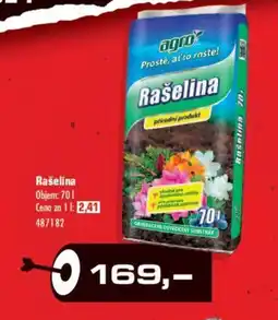Rašelina