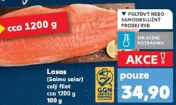 Kaufland Losos (Salmo salar) celý filet nabídka
