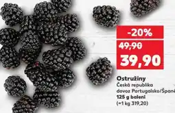 Kaufland Ostružiny nabídka