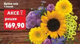 Kaufland Kytice mix nabídka