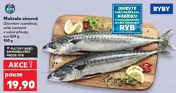 Kaufland Makrela obecná nabídka