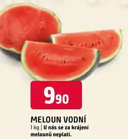 Terno MELOUN VODNÍ nabídka