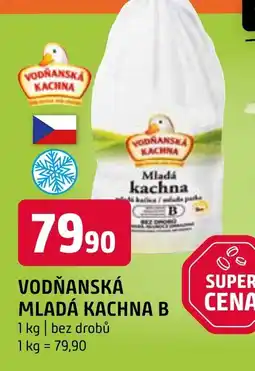 Terno VODŇANSKÁ MLADÁ KACHNA B nabídka