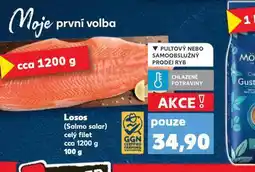 Kaufland Losos nabídka