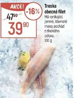 Globus Treska obecná filet nabídka