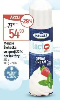 Globus Meggle Šlehačka ve spreji 22% bez laktózy nabídka