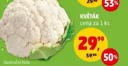 Penny Market KVĚTÁK nabídka